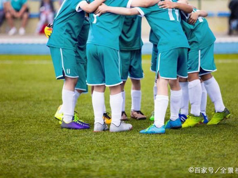 关于金年会